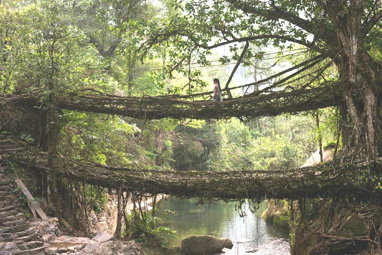 meghalaya-assam- arunachal pradesh tour