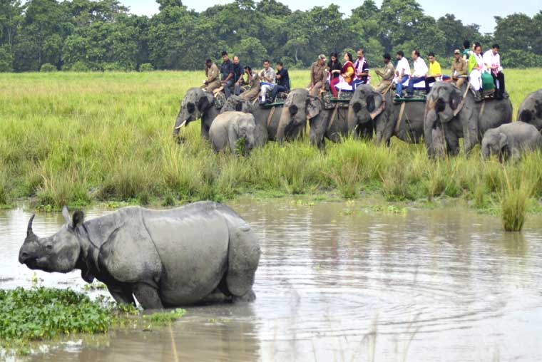 sivasagar – “ahom kingdom” & unesco site – “kaziranga” &  nagaland